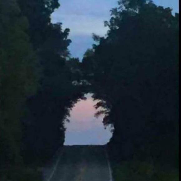 Meet your Posher, Nicole - Picture 1 of 1